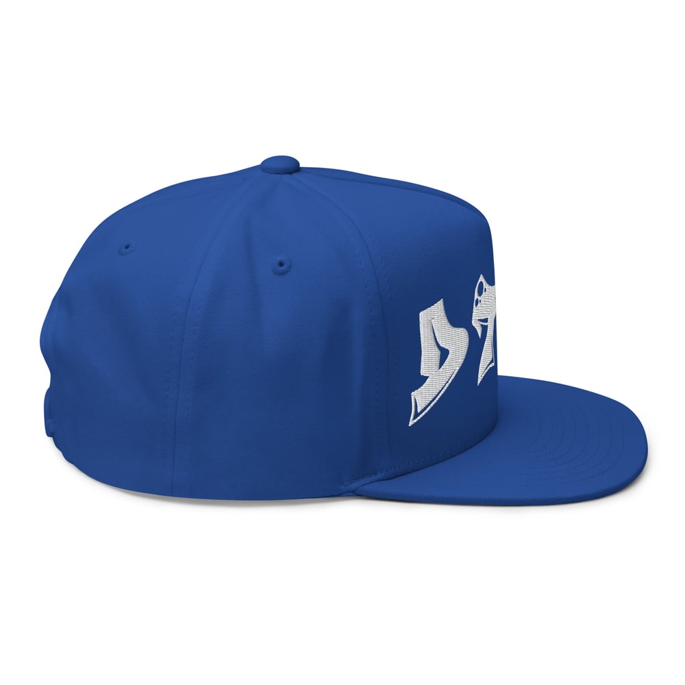 DTMA SNAPBACK