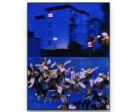 Image 3 of MIDNIGHT BLUE