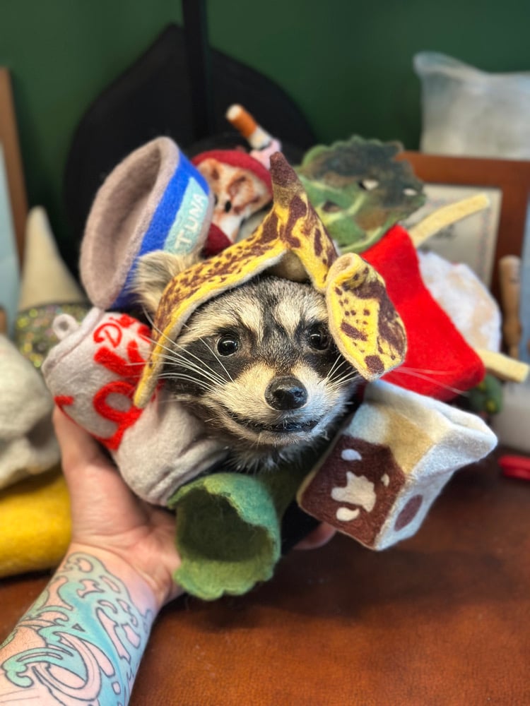 Image of Trash Panda’s Delight