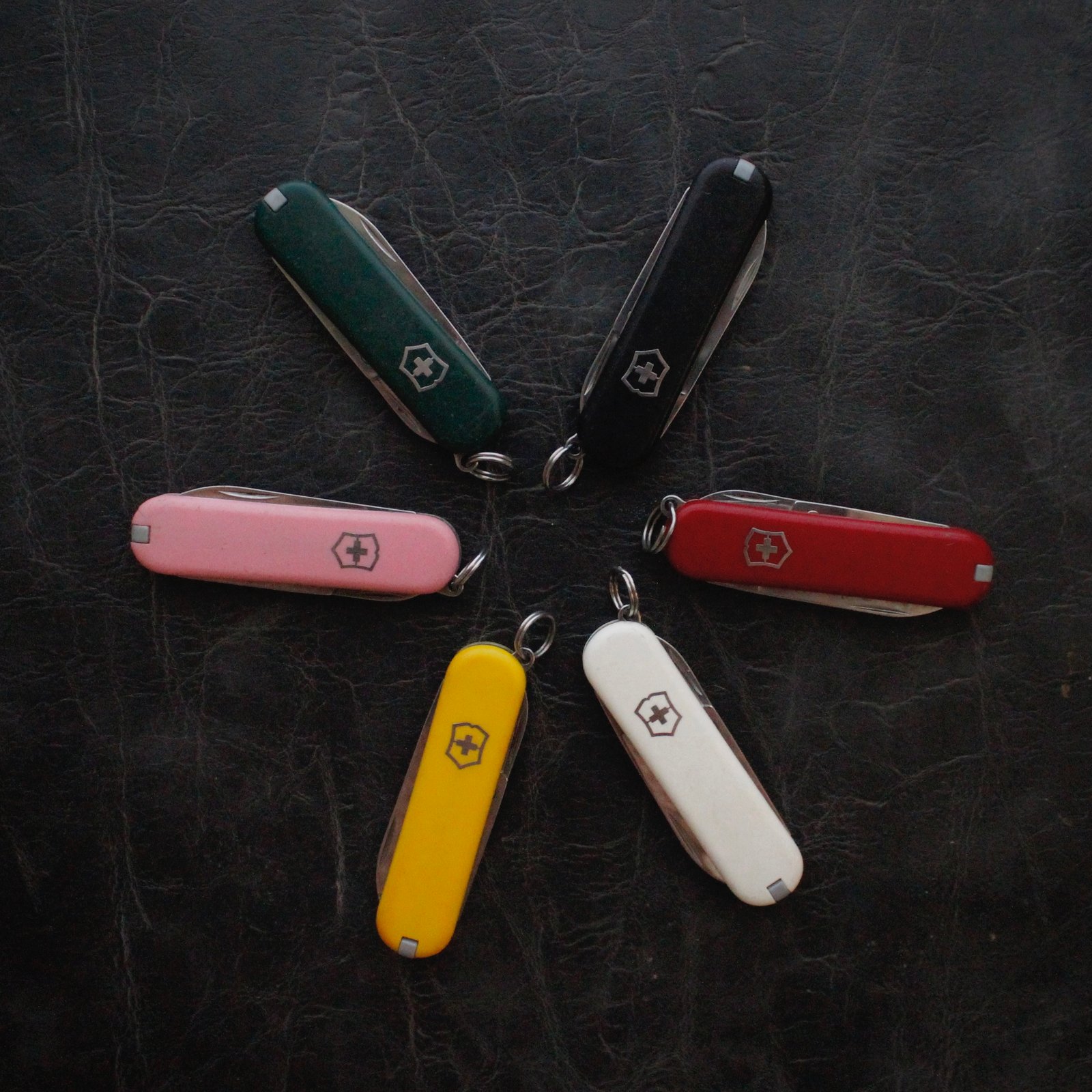 Swiss army 2024 knife colors