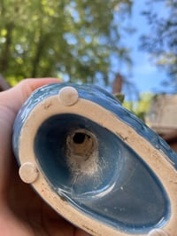 Image 5 of Sea Star Hoya in Fish Pot