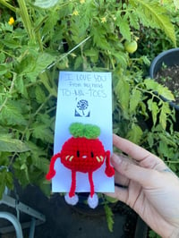 Image 1 of tomato plush