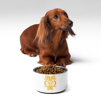 Image 1 of Pet EVOLVED SOUL bowl