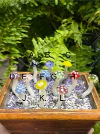 Image 2 of Mushroom Plant Ornaments 🍄 🪴 (UV reactive)
