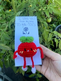 Image 2 of tomato plush