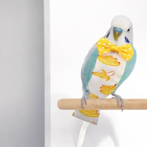 Image of Bananas Budgie / Small Bird Diaper