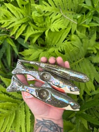 Image 2 of Brook Trout - Mother of Pearl
