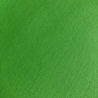 Image 2 of Loneta - VERDE CROMA - 7€/m