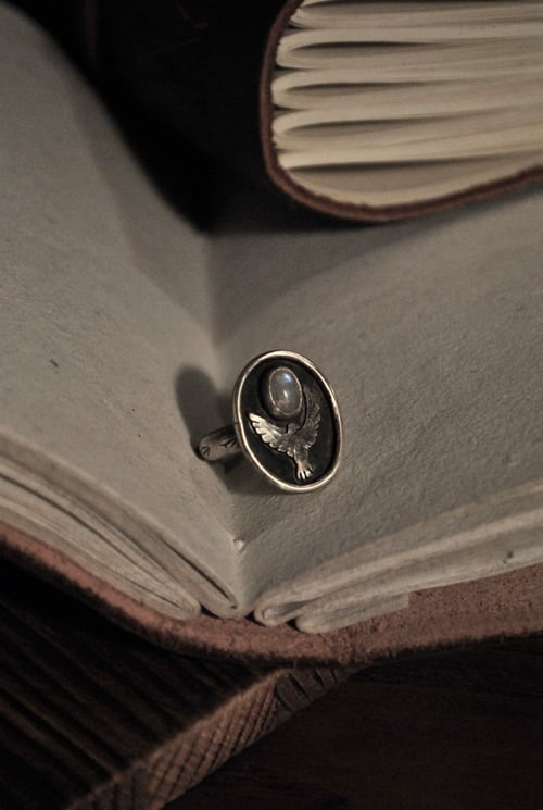 Image of Anelli “Animus”