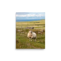 Image 1 of #11