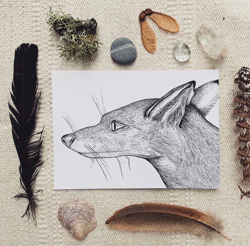 Image of Fox Ink Painting Print