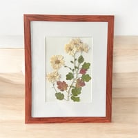 Image 4 of Genuine White Chrysanthemum Wildflower Art In 8" X 10" Frame (Item# 2022068)
