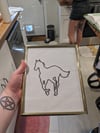 White Pony