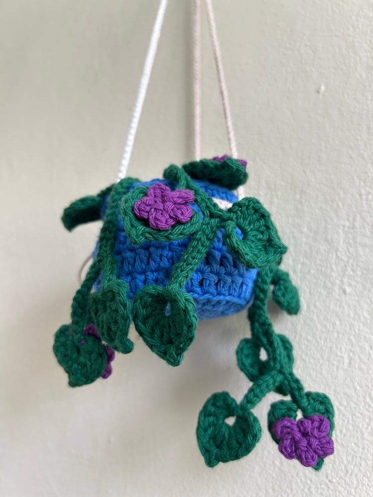 Image of ✧Hanging Bellflower Plant