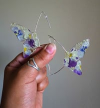 Pansy butterflies