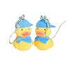 cool ducks