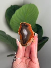 BLACK AND ORANGE CONDOR AGATE -ARGENTINA- #4