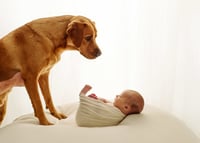 Image 3 of NEWBORN SESSION 