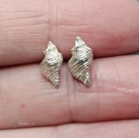 Image 1 of Conch shell fine silver stud earrings