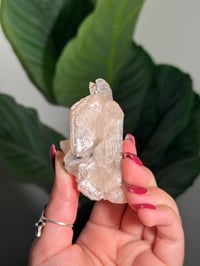 Image 2 of BOWTIE STILBITE X DIAMOND APOPHYLITE -INDIA- C