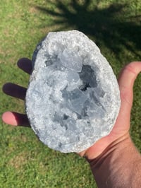 Image 13 of Celestite Geode #1950