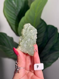Image 6 of CHOOSE YOUR OWN SMALL PREHNITE CLUSTER -INDIA-