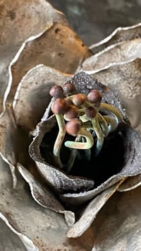 Image 3 of 🩶🪽Gift of Love 🌺⚙️🩶
