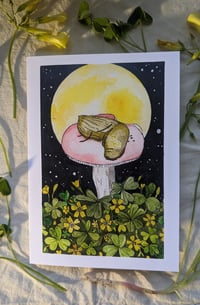 Image 1 of "Midnight Foraging"