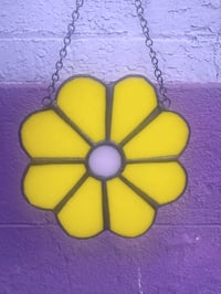 Image 1 of Yellow Daisy 🌼