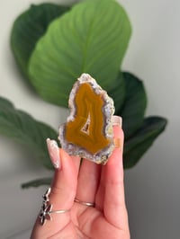 YELLOW CONDOR AGATE -ARGENTINA- #16 OTHER HALF