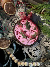 Large Pink Mistletoe