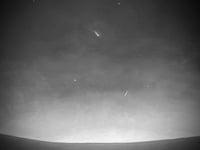 Image 2 of Thanks for Visiting