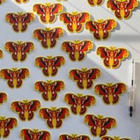 Image 3 of Atlas Moth Sticker