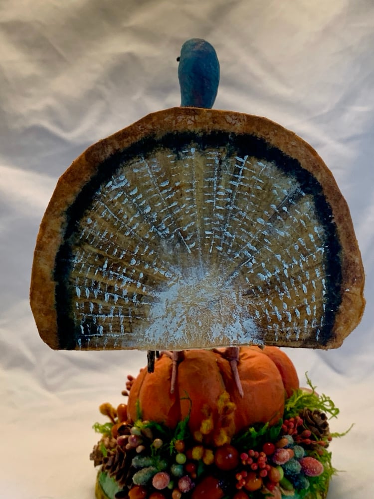 Image of Turkey Tom figure 9