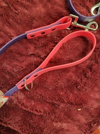 Image 2 of Biothane leash