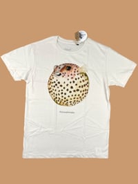 Image 1 of T-shirt PESCE PALLA