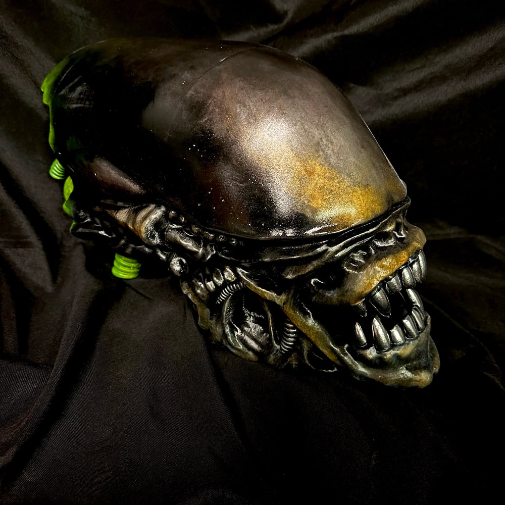 1:1 Scale Xenomorph Warrior Trophy Head