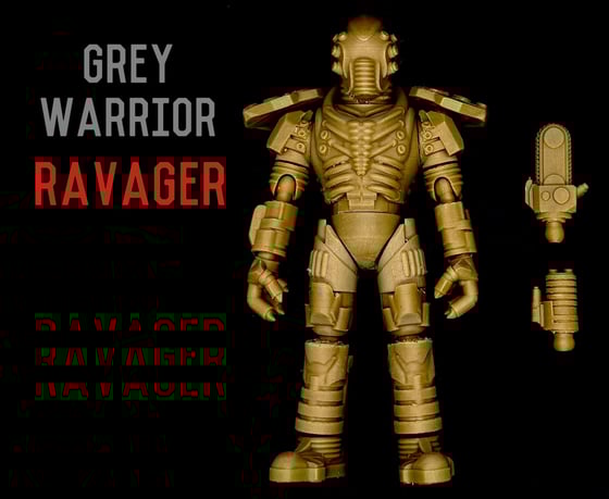 Image of Grey Warrior : Ravager 6”