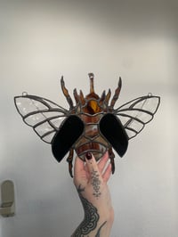 Image 3 of Rhino Beetle