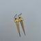 Image of Brass Dangles | The Rion