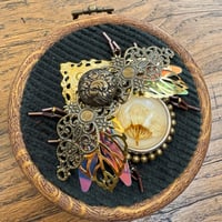 Image 1 of Dried flower beetle (a, 3.5  inches)