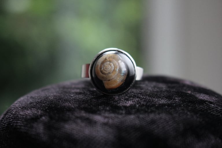 Dead Good snail shell ring 2 Image 2