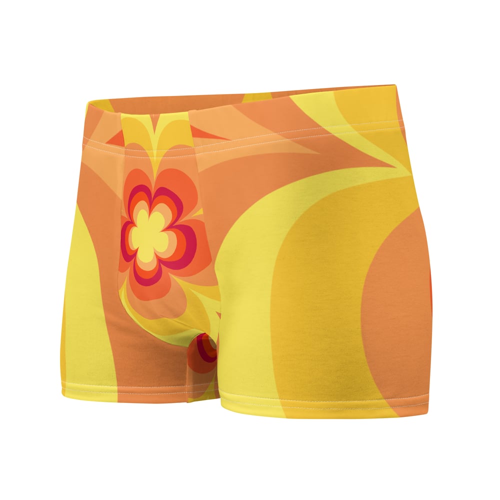 Image of Boxer Briefs