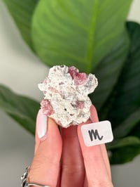 Image 13 of PINK TOURMALINE IN FELDSPAR CLUSTERS -PAKISTAN-