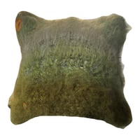 Image 1 of mossy kitty