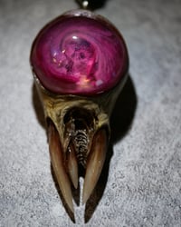 Image 4 of  Magenta Wave Snaggletooth Pendant