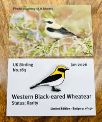 Image 2 of UK Birding Pins Club - Pins Only