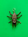 Buggo Earring 5