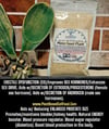 MELON SEED POWDERS. Hormones-Erectile Dysfunction-Arthritis-Bones-Prostate-Diabetes-Cholesterol