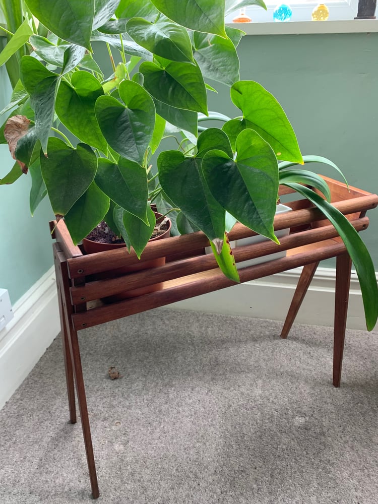 Image of Wooden Planter